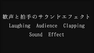 【フリーな音響効果】歓声と拍手のサウンドエフェクト Laughing Audience Clapping Sound Effect [upl. by Nosdrahcir741]