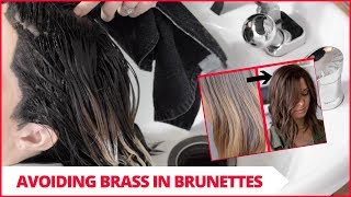 Avoiding Brassiness In Brunettes Salon Vlog Ep 1 [upl. by Dnalsor]