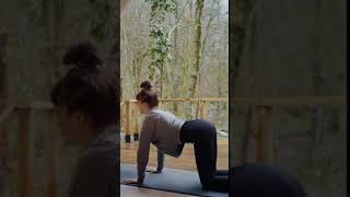 Yoga for Flexibility Incorporating Marjariasana into Your Routine [upl. by Tengdin]