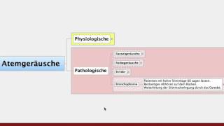 Atemgeraeusche Pathologische und Physiologische für die Heilpraktikerausbildung [upl. by Punke960]