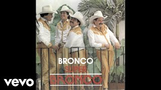 Bronco  No Nos Vamos a Olvidar Cover Audio [upl. by Pilif]