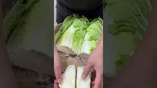 Amazing Green Cabbage Cutting Skills vegetable viralvideo [upl. by Alamat478]