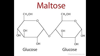 Biochimie structurale  Glucides Exercices et corrigé S MARANE [upl. by Ramedlaw]