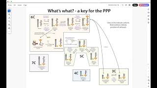 Following the Pentose Phosphate Pathway  what the heck’s going on… [upl. by Sherline]