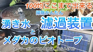 🔴⤴︎⤴️100均ここまで出来る。湧き水と濾過装置とメダカのビオトープ。ソーラーポンプとトロ舟は、知らんけど♪ [upl. by Lister353]