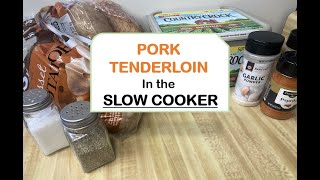 PORK TENDERLOIN Slow Cooker Recipe  BEST Tasty CrockPot Dinner [upl. by Kary]