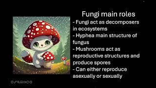 Fungi amp Protists [upl. by Yert]