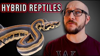 Top 5 Most INSANE Hybrid Reptiles [upl. by Lilith]