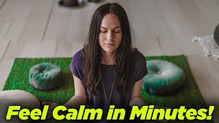 Meditation for Beginners A Simple Guide [upl. by Ainesy651]