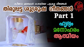 Syro Malabar Priestly Ordination SongsPart I  Fr Sinu  Deepa Binu  Binu Mathirampuzha [upl. by Coh956]