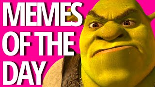 MEMES OF THE DAY SHREKS HAD ENOUGH OF THIS WOKE CRAP [upl. by Nylahs]