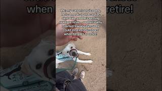 Wholesome training moment with service dog servicedog dogtraining youtubeshorts shorts dog fyp [upl. by Mureil]