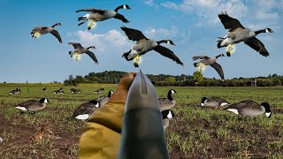 26 BANDED HONKERS ON OPENING DAY INSANE GOOSE HUNT [upl. by Sheree]