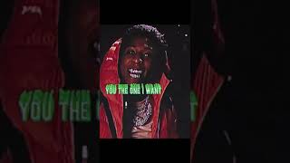 NBA Youngboy Nevada Lyric Audio Vhs Edit 💚😈 [upl. by Nnylirret]