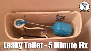 Easy and Quick Leaky Toilet or Hard to Flush  5 Minute Fix only 3 [upl. by Atnuhs]