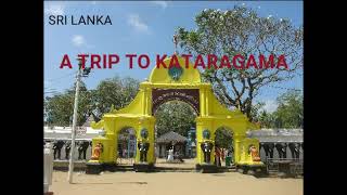 A Trip to Kataragama in Sri Lanka [upl. by Madson580]