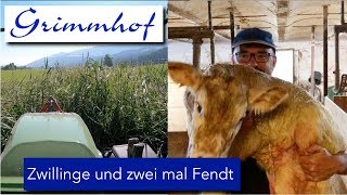 FarmVLOG23 Zwillinge Hitze und der ganz normale quotWahnsinnquot [upl. by Stephanus]