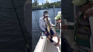 Slot Size Snook hitthat fishmiami saltstrong hitthatagain [upl. by Ynnep219]