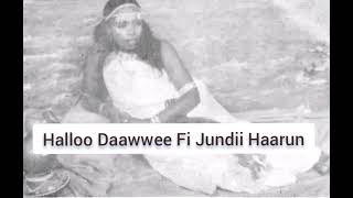 Halloo Daawwee Fi Jundii Haarun afaanoromoo sirbaa music oromo ethiopianmusic sirbootadurii [upl. by Parrish]