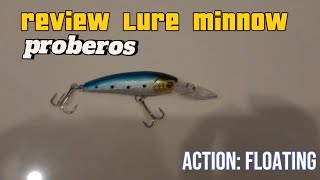 REVIEW LURE MINNOW  PROBEROS Action Floating [upl. by Clerk132]