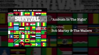 Ambush In The Night 1979  Bob Marley amp The Wailers [upl. by Idalla]