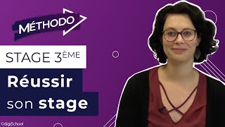 Que faire pendant le stage de 3e [upl. by Aleit461]