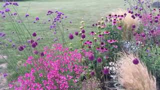 Aiuola di erbacee perenni e bulbose per un giardino di campagna [upl. by Alyakam]