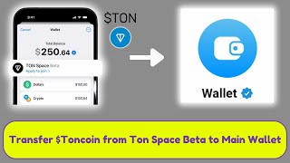 How to Transfer TON from Ton Space Beta to Main Wallet [upl. by Lynna]