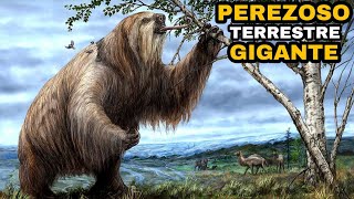 Perezoso Terrestre Gigante  Megatherium PREHISTORIA [upl. by Annauqahs]