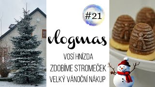 VLOGMAS 21 vosí hnízda stromeček a velký nákup jídla 🎄 [upl. by Diannne]