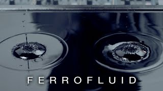 Cymatics Ferrofluid [upl. by Hagi]