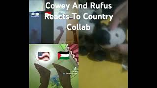 COWEY And Rufus Reacts To Country Collab memes funny duet redditrecap [upl. by Atnuahs]