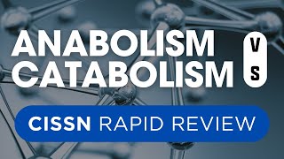 Rapid Review CISSN Anabolism vs Catabolism [upl. by Sang]