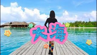 《大海》dj  广场舞  背面演示 [upl. by Ennaylime]