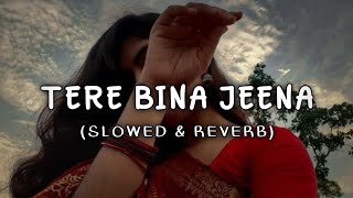 Heartbreaking Beat  Tere Bina Jeena Saza Ho Gaya Lofi Song  slow  reverb [upl. by Rakabuba]