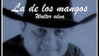 Walter silva  la de los mangos [upl. by Lennad]