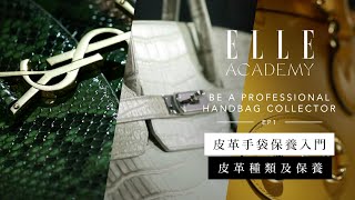 皮革手袋保養入門課程：皮革種類及保養的重要性  Ep1  ELLE Academy [upl. by Eema892]