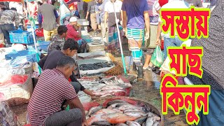 তাঁজা মাছের পাইকারি দাম জানুন  Jatrabari Wholesale Fish Market 2 December 2024  My Life [upl. by Moneta33]