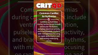 Common Cardiac Arrhythmias [upl. by Nytsyrk]