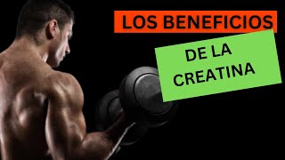 LOS BENEFICIOS DE LA CREATINA [upl. by Radnaxela]