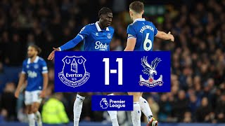 PREMIER LEAGUE HIGHLIGHTS EVERTON 11 CRYSTAL PALACE [upl. by Egerton855]