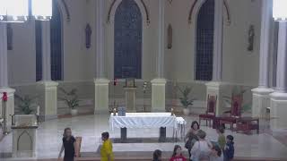 November 19 2024 at 800 am Catholic Mass from St Philip in Vacherie LA [upl. by Latouche]