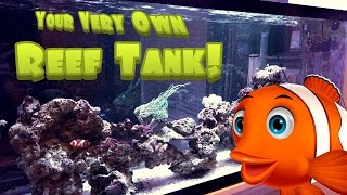 How to Setup a Simple Easy and Inexpensive Reef  Saltwater Aquarium Tank  55g Saltwater Tank [upl. by Aube]