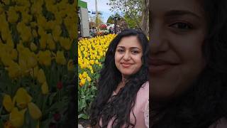 Part12 Malayalam minivlog  Tulip festival Bowral NSW Australia [upl. by Ahsad]