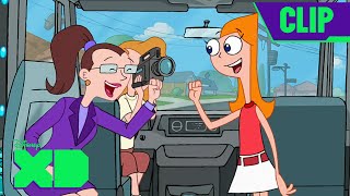 Leave the Busting to Us  Phineas and Ferb  Full Scene  disneyxd [upl. by Galligan610]