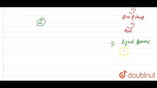 How will you distinguish between benzyl alcohol and phenol [upl. by Esiahc]