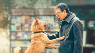 Hachi A Dogs Tale Full Movie Facts And Review  Richard Gere  Joan Allen [upl. by Atinaj169]