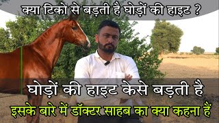 Horse hight kese bdhaye ​⁠​⁠ [upl. by Hgieleak818]