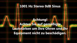 1001 Hz Sinus Ton Test 0dB Stereo Piepton Wave Ton [upl. by Aifoz]