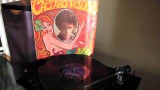 Caetano Veloso  Tropicália e Clarice [upl. by Kinemod]